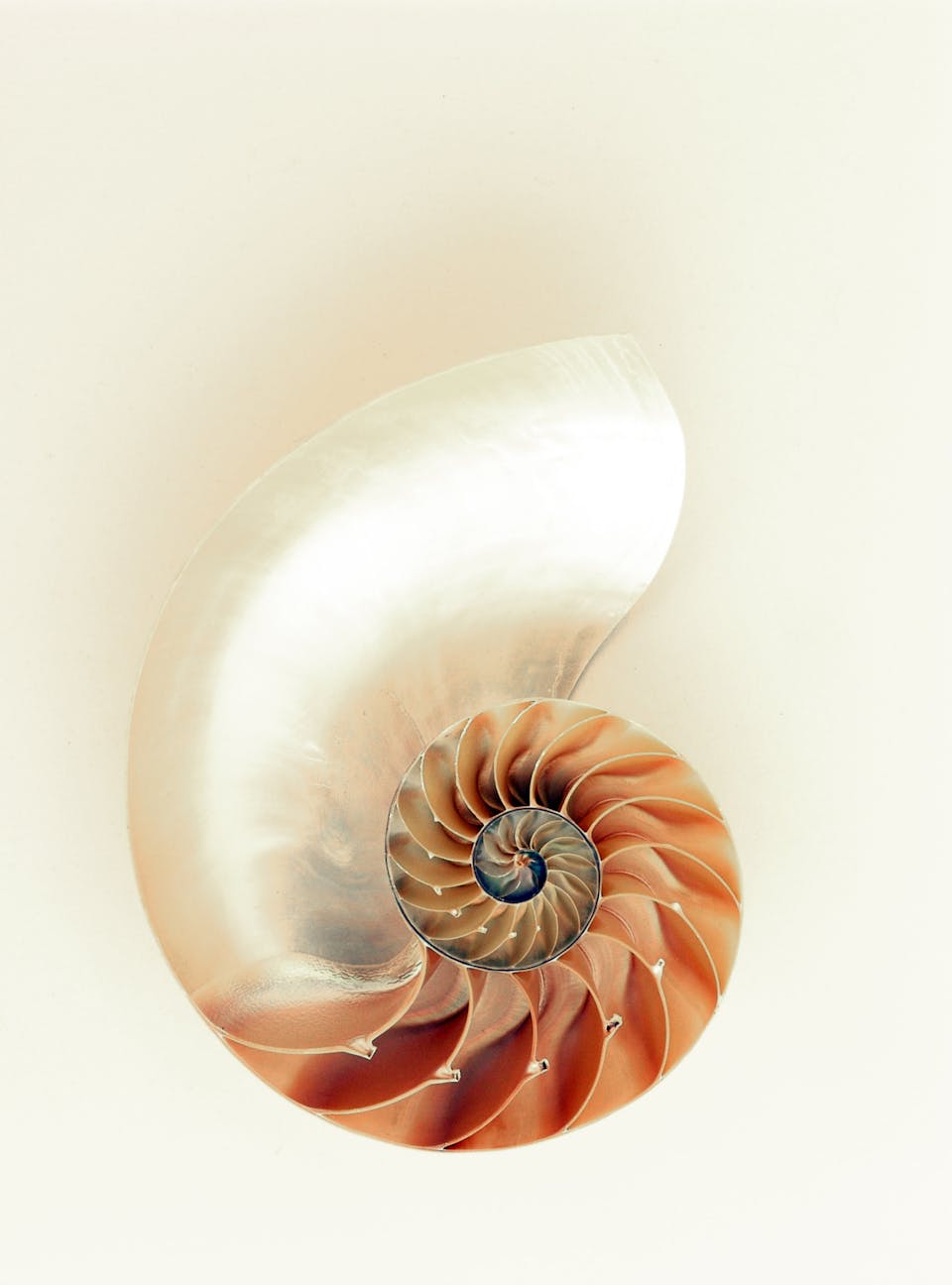 The Nature of Wholeness